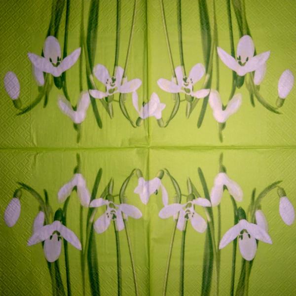 081 Daffodils - 3-ply